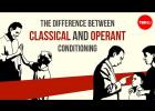 Rozdíl mezi klasickým a operantním podmiňováním